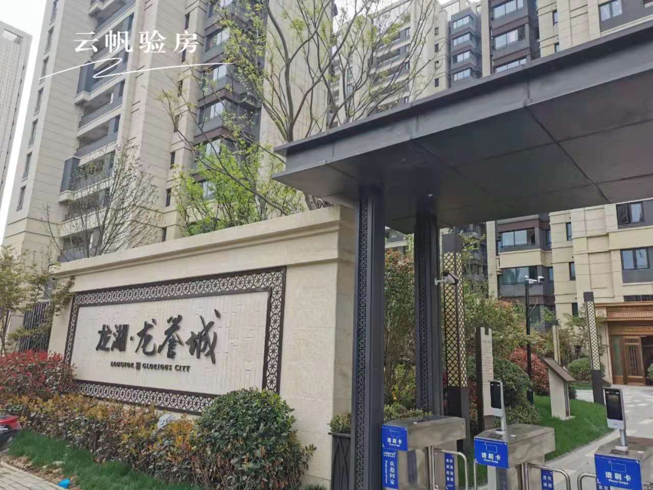 �ʖ|����-���u(y��)���(y��n)��