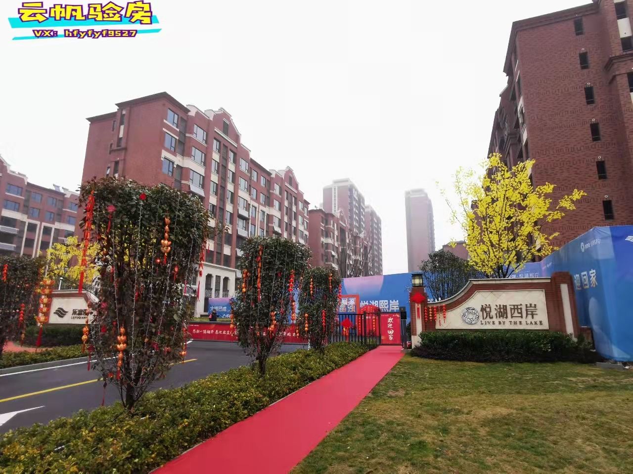 ���^(q��)��(l��)����(qi��ng)��������ë�����(y��n)��